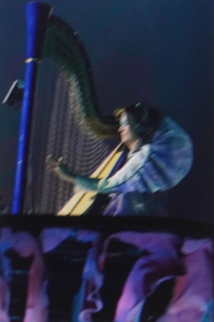 Bjork - Koncert i Krakow 2023 - Cellospiller