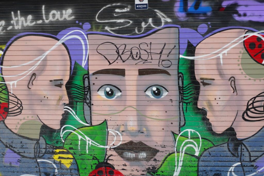 Street Art i Vake området i Tbilisi - 2