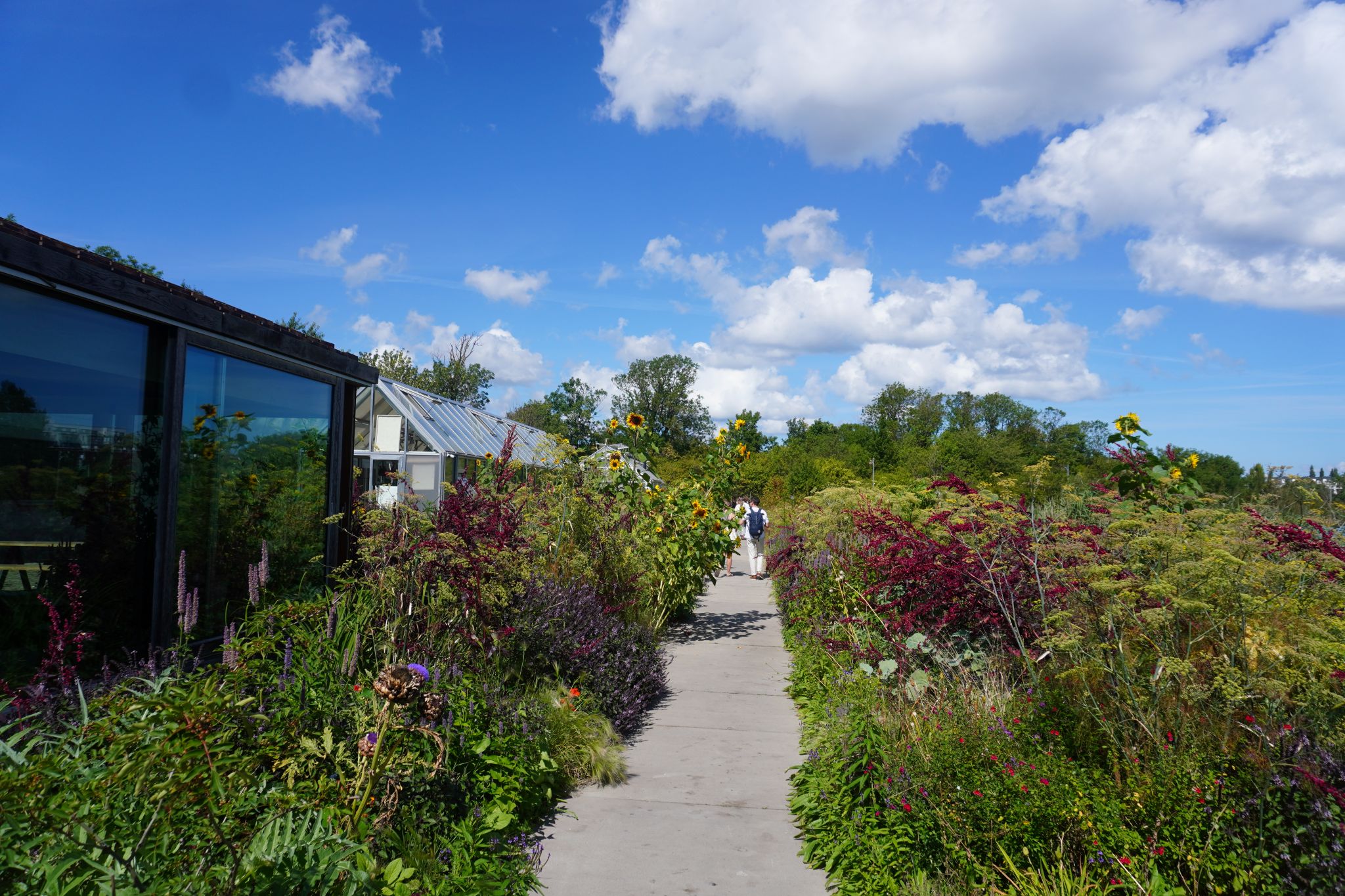 Danmark: NOMA – Nordisk Mad i verdensklasse i København