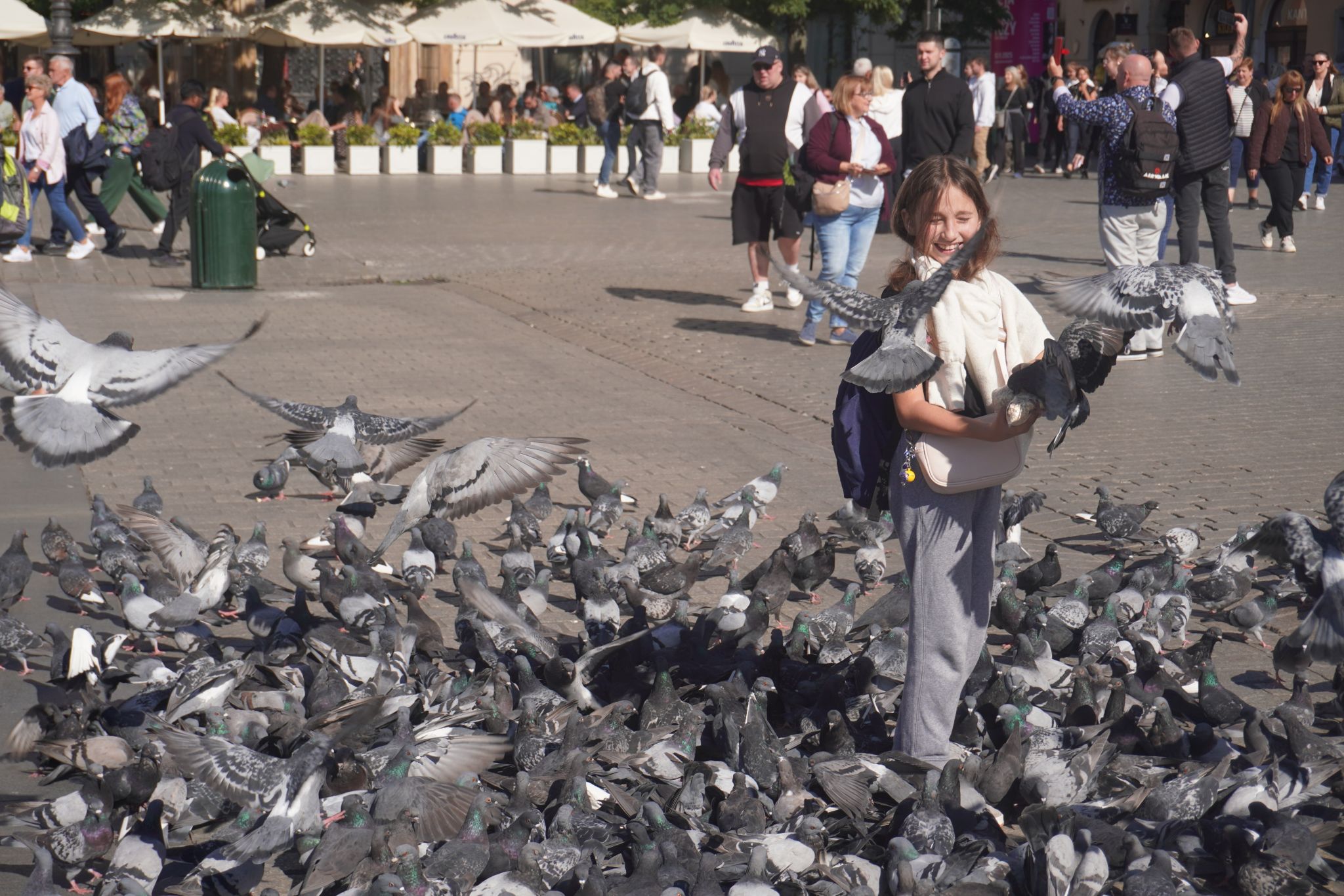 Polen: Krakow – Polens kulturhovedstad gennem århundreder
